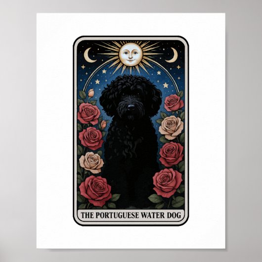 Portuguese Water Dog Poster (Voorkant)