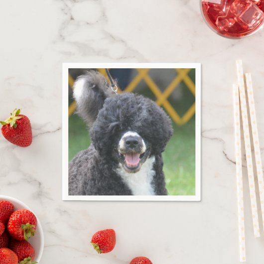 Portuguese Water Dog Servetten (Insitu)