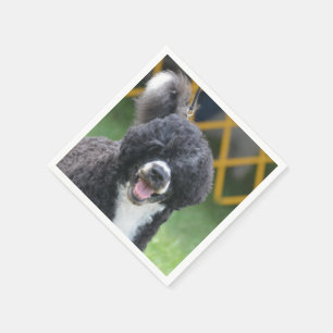 Portuguese Water Dog Servetten