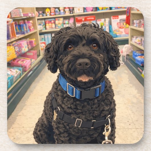 Portuguese Water Dogs Anime Anemi Coasters Set 6 Bier Onderzetter (Voorkant)