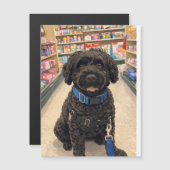 Portuguese Water Dogs Anime Anemi Magnetic Card (Voorkant / Achterkant)