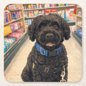 Portuguese Water Dogs Anime Anemi Paper Coasters Kartonnen Onderzetters (Voorkant)