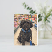 Portuguese Water Dogs Anime Anemi Postcard Briefkaart (Staand voorkant)