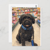 Portuguese Water Dogs Anime Anemi Postcard Briefkaart (Voorkant / Achterkant)