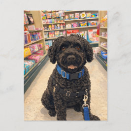 Portuguese Water Dogs Kawaii Anime Postcard Briefkaart