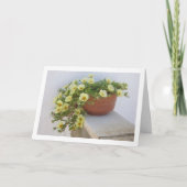 Portulaca, sappige bloeiende plant kaart (Voorkant)