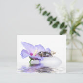 Poscard - Cicada in Provence Briefkaart (Staand voorkant)