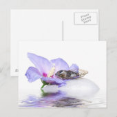 Poscard - Cicada in Provence Briefkaart (Voorkant / Achterkant)