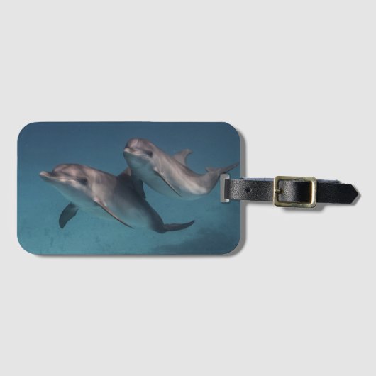 Pose afspelen bagagelabel (Voorkant (horizontaal))