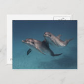 Pose afspelen briefkaart (Voorkant / Achterkant)