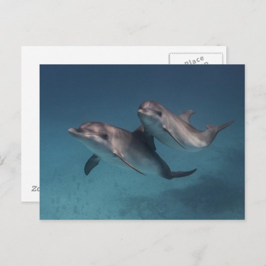 Pose afspelen briefkaart (Voorkant / Achterkant)