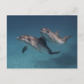 Pose afspelen briefkaart (Voorkant)