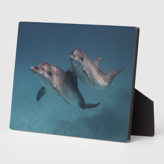 Pose afspelen fotoplaat (Zijkant)