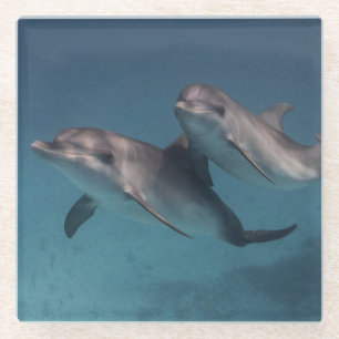 Pose afspelen glazen onderzetter