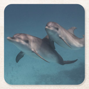 Pose afspelen kartonnen onderzetters