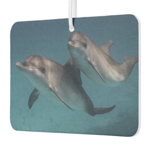 Pose afspelen luchtverfrisser (Links)