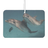 Pose afspelen luchtverfrisser (Voorkant)