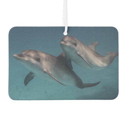 Pose afspelen luchtverfrisser (Voorkant)