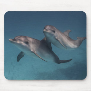 Pose afspelen muismat