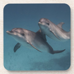 Pose afspelen onderzetter