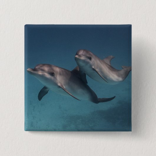 Pose afspelen vierkante button 5,1 cm (Voorkant)