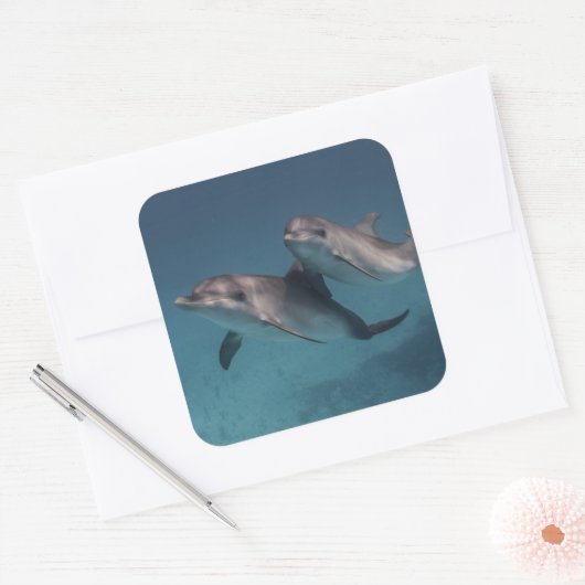 Pose afspelen vierkante sticker (Envelop)