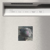 Poseerduif Magneet (Insitu (Vaatwasser))