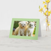 POSEREN ALLEEN* VOOR JE VERJAARDAG KAART (Gele Bloem)