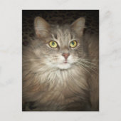 Poseren Briefkaart (Voorkant)