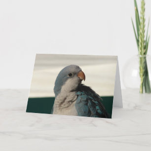 Poseren voor de camera kaart