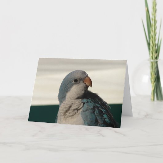 Poseren voor de camera kaart (Voorkant)