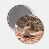 Poseren voor de camera magneet (Voorkant / Achterkant)