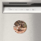 Poseren voor de camera magneet (Insitu (Vaatwasser))