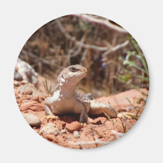 Poseren voor de camera magneet (Voorkant)