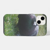 Poserende Duif iPhone Hoesje (Achterkant horizontaal)