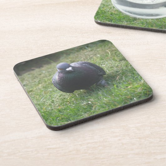 Poserende Duif Kurk Onderzetter (Linkerzijde)