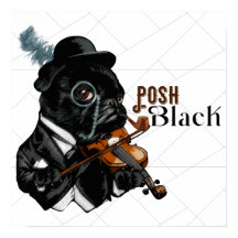 Posh Black Frenchie Bulldog