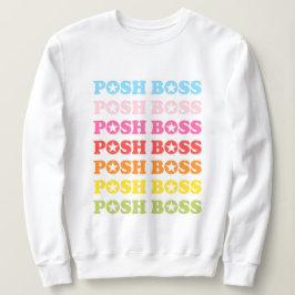 Posh Boss Star Studded Rainbow Sweater