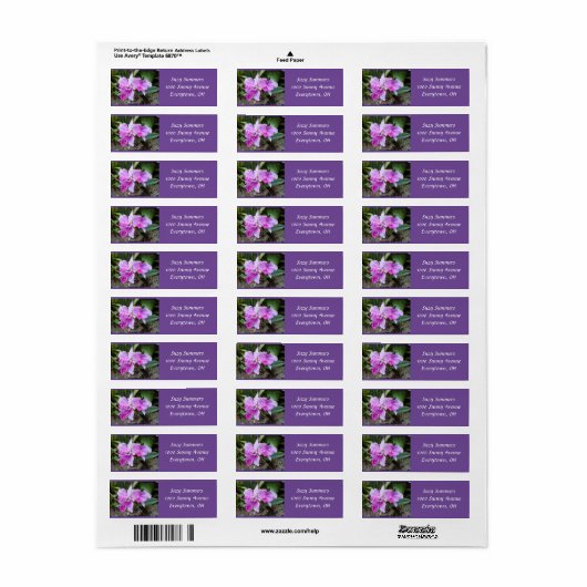 Posh Paars Orchids Adres Etiket (Full Sheet)