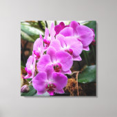Posh Paars Orchids Stretted Canvas Print (Voorkant)