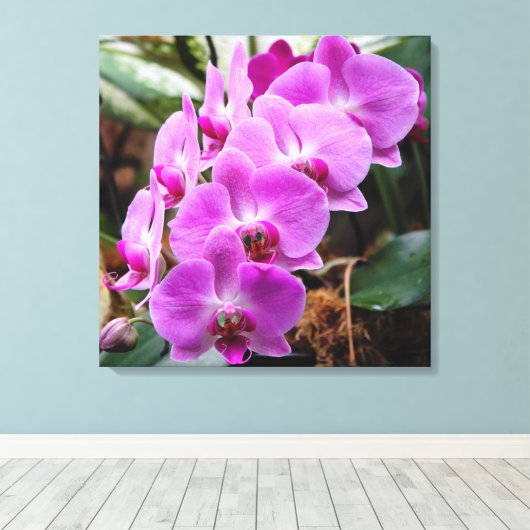 Posh Paars Orchids Stretted Canvas Print (Insitu (Houten vloer))