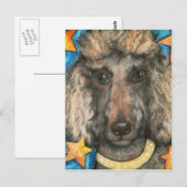 Posh Poodle Briefkaart (Voorkant / Achterkant)