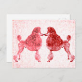 Posh Poodle Love Valentijns Briefkaart (Voorkant / Achterkant)