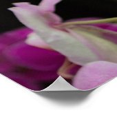 Posh roze Orchids Poster (Hoek)
