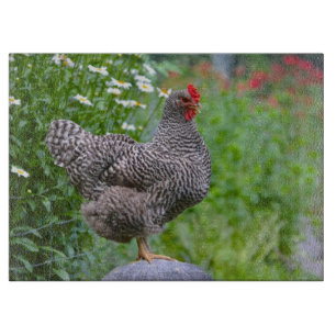 Posing Chicken Cutting Board Snijplank