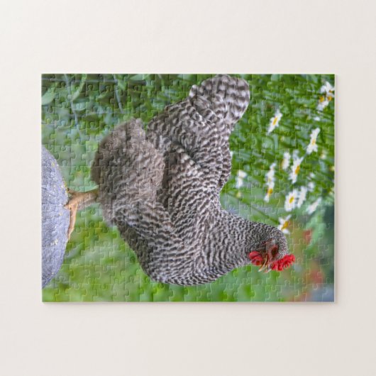 Posing Chicken Puzzle Legpuzzel (Horizontaal)