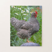 Posing Chicken Puzzle Legpuzzel (Verticaal)
