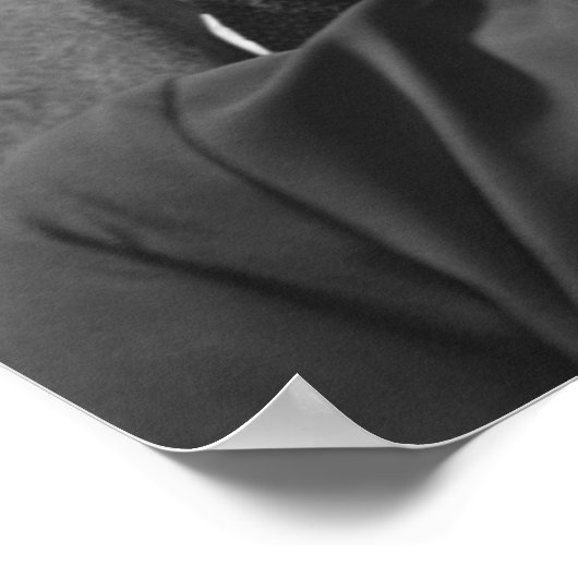 Posing Couple Poster (Hoek)