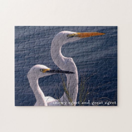 Posing Egrets Legpuzzel (Horizontaal)