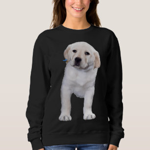 Posing Labrador Retriever Trui